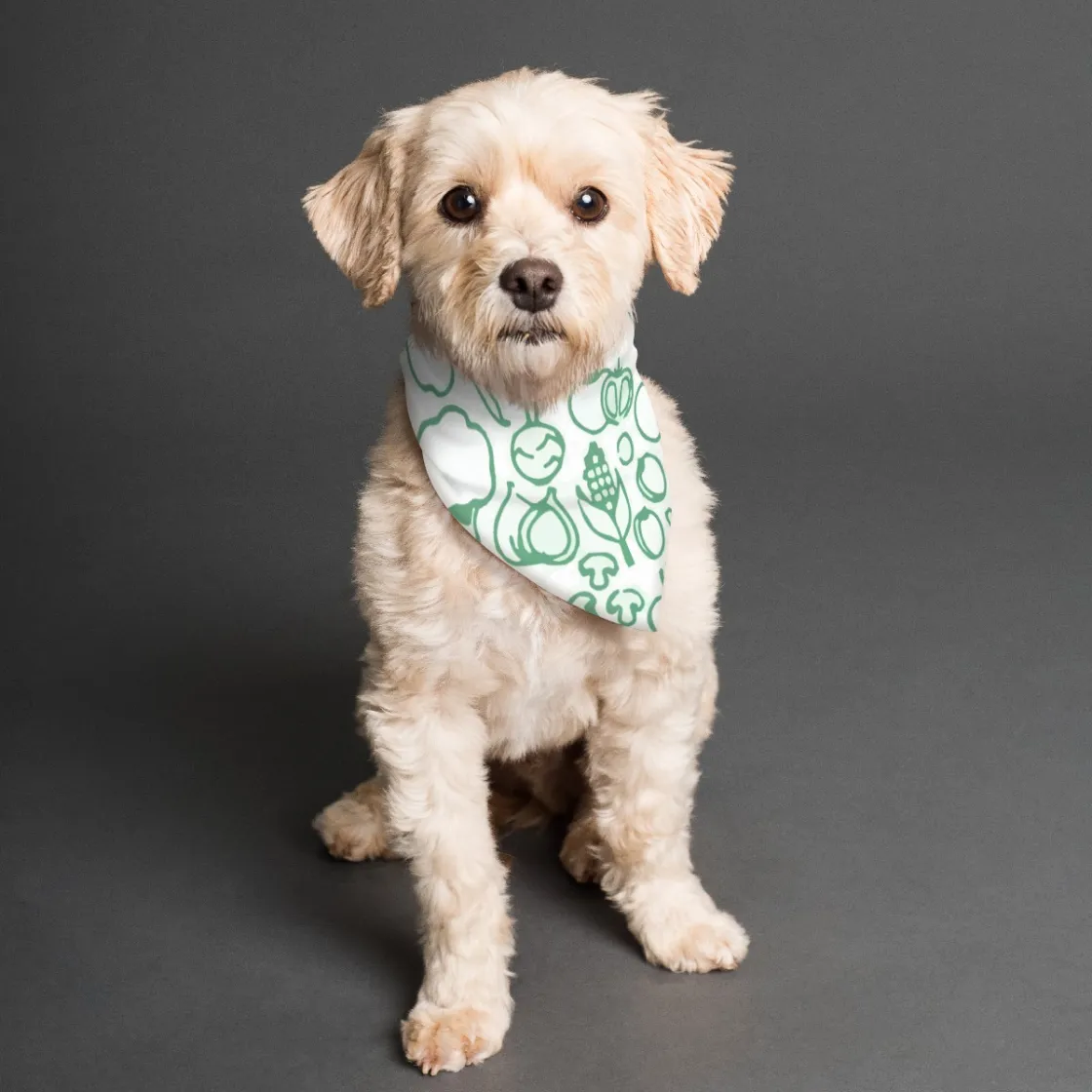 All-Over Print Pet's Scarf
