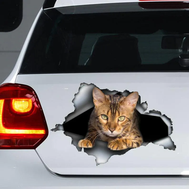 Car Stickers