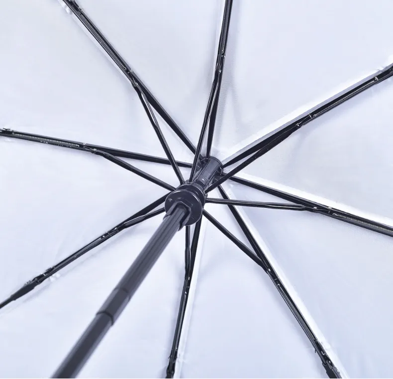 Umbrella